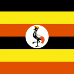 The Best Supplements in Uganda