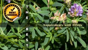 The Supplements with Alfalfa
