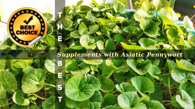 The Supplements with Gotu Kola
