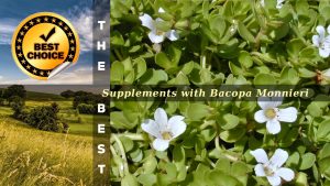 The Supplements with Bacopa Monnieri