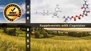 The Supplements with Cognizine