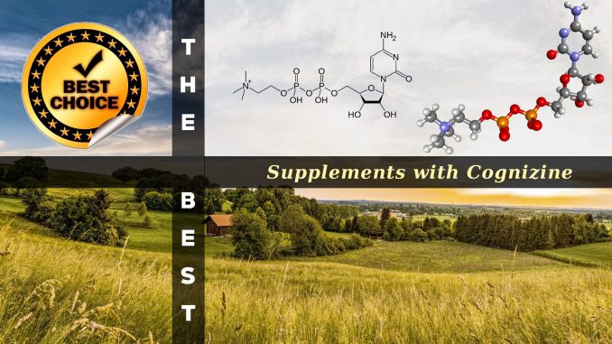 The Supplements with Cognizine