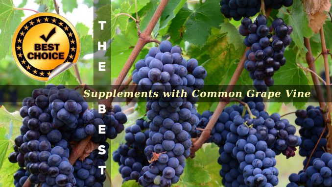 The Supplements with Common Grape Vine
