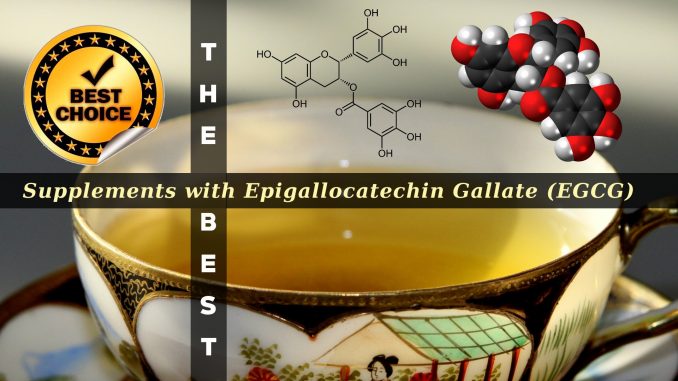 The Supplements with Epigallocatechin Gallate