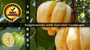 The Supplements with Garcinia Cambogia