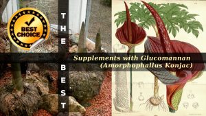 The Supplements with Glucomannan