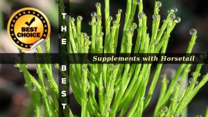 The Supplements with Horsetail