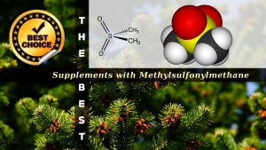 The Supplements with Methylsulfonylmethane