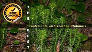The Supplements with Toothed Clubmoss