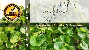 The Supplements with Triterpenes