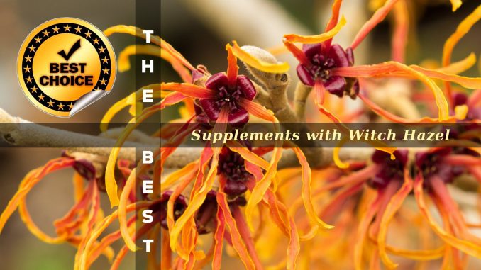 The Supplements with Witch Hazel