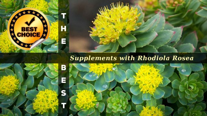 The Supplements with Rhodiola Rosea