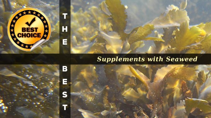 The Supplements with Seaweed
