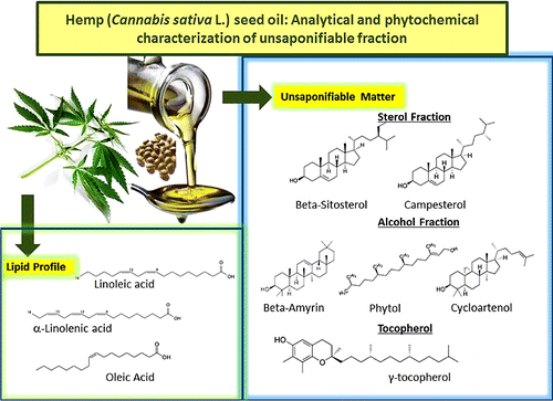 Hemp (Cannabis sativa L.) Seed Oil: Analytical and Phytochemical Characterization of the Unsaponifiable Fraction