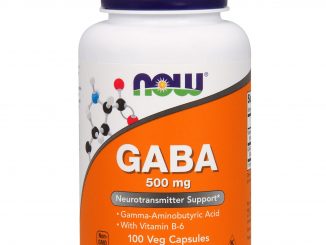 GABA, 500 mg, 100 Veg Capsules (Now Foods)