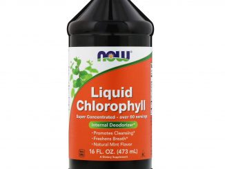 Liquid Chlorophyll, Mint Flavor, 16 fl oz (473 ml) (Now Foods)