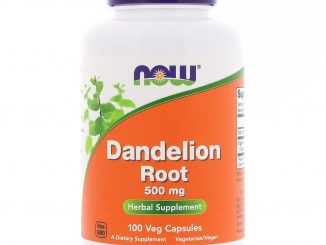 Dandelion Root, 500 mg, 100 Veg Capsules (Now Foods)