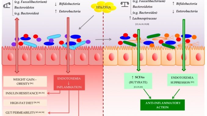 Omega-3 polyunsaturated fatty acid (PUFA) potential action in restoring eubiosis in gut microbiota