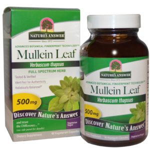 Mullein Leaf, 500 mg, 90 Vegetarian Capsules (Nature's Answer)