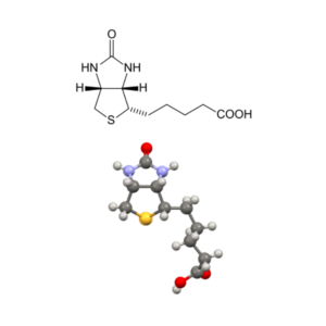 Biotin - Molecular Formula