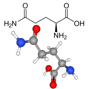 Glutamine - Molecular Formula