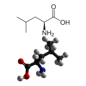 L-Leucine - Molecular Formula