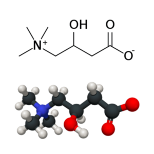 Levocarnitine - Molecular Formula
