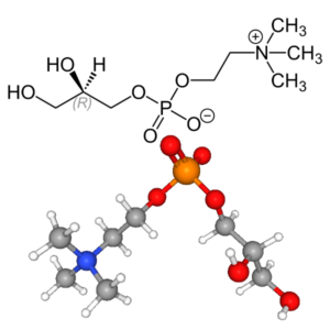 Choline Glycerophosphate - Molecular Formula