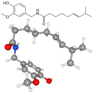 Capsaicin - Molecular Formula