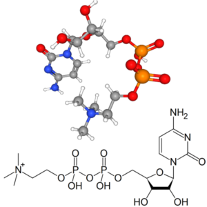 Citicoline - Molecular Formula