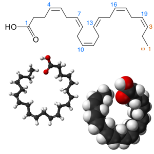 Docosahexaenoic Acid - Molecular Formula