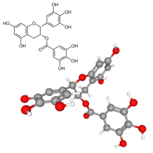 Epigallocatechin Gallate - Molecular Formula