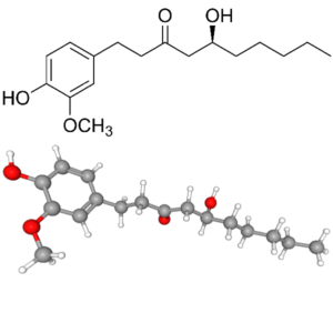 Gingerol - Molecular Formula