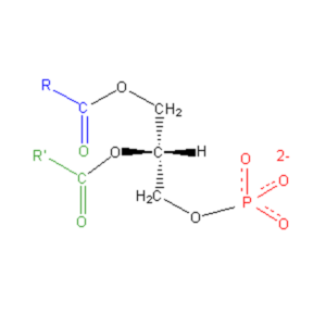 Phosphatidic Acid - Molecular Formula