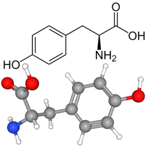 Tyrosine - Molecular Formula
