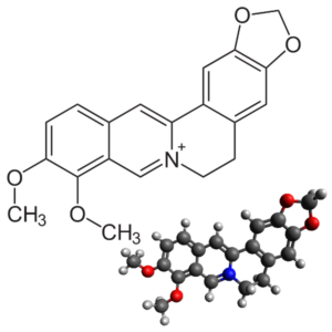 Berberine - Molecular Formula