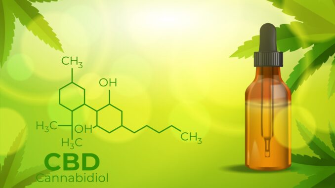 CBD Products To Support Brain Function, Memory And Cognitive Processes